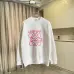 Loewe Hoodies #B57652