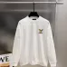 Louis Vuitton Hoodies for MEN #B55221