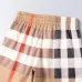 Burberry Pants for Burberry Short Pants for men #B50121