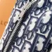Dior Shorts #B65657