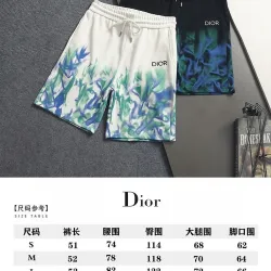 Dior Shorts #B66132
