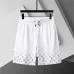 Louis Vuitton Pants for Louis Vuitton Short Pants for men #B50134