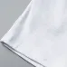 Louis Vuitton Pants for Louis Vuitton Short Pants for men #B60035