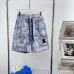 Louis Vuitton Pants for Louis Vuitton Short Pants for men #B60457