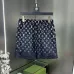 Louis Vuitton Pants for Louis Vuitton Short Pants for men #B65768