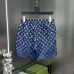 Louis Vuitton Pants for Louis Vuitton Short Pants for men #B65768