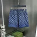 Louis Vuitton Pants for Louis Vuitton Short Pants for men #B65768