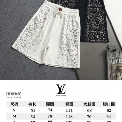 Louis Vuitton Pants for Louis Vuitton Short Pants for men #B66120