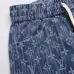 Louis Vuitton Pants for Louis Vuitton Short Pants for men #B66131