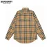 Burberry Shirts for Burberry Men's AAA+ Burberry Long-Sleeved Shirts #B49686