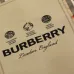 Burberry Shirts for Burberry Men's AAA+ Burberry Long-Sleeved Shirts #B49686