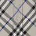 Burberry Shirts for Burberry Men's AAA+ Burberry Long-Sleeved Shirts #B49687