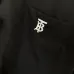 Burberry Shirts for Burberry Men's AAA+ Burberry Long-Sleeved Shirts #B58521