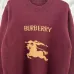 Burberry Sweaters for MEN #B65124