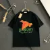 Burberry T-Shirts for Burberry  AAAA T-Shirts #B65948