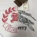 Burberry T-Shirts for Burberry  AAAA T-Shirts #B66209