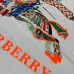 Burberry T-Shirts for Burberry  AAAA T-Shirts #B66232