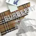 Burberry T-Shirts for Burberry  AAAA T-Shirts #B66240