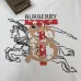 Burberry T-Shirts for Burberry  AAAA T-Shirts #B66802