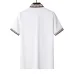 Gucci T-shirts for Gucci Polo Shirts #B46304