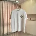 Louis Vuitton T-Shirts for AAAA Louis Vuitton T-Shirts #B59817