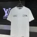 Louis Vuitton T-Shirts for AAAA Louis Vuitton T-Shirts #B64956