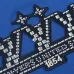 Louis Vuitton T-Shirts for AAAA Louis Vuitton T-Shirts Blue #B50095