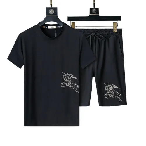 Burberry Tracksuits for Burberry Short Tracksuits for men #B51867