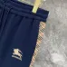 Burberry Tracksuits for Men's long tracksuits #A68826