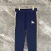 Burberry Tracksuits for Men's long tracksuits #A68826