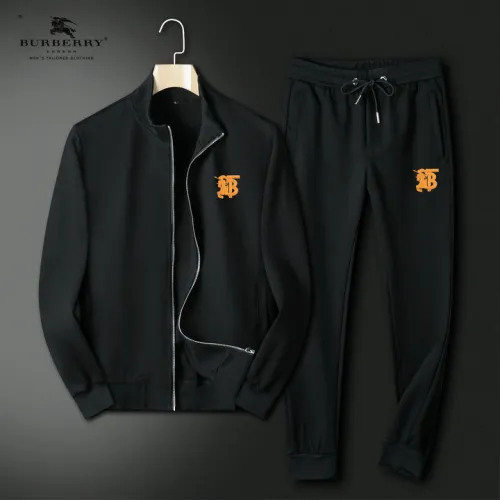 Burberry Tracksuits for Men's long tracksuits #B49016