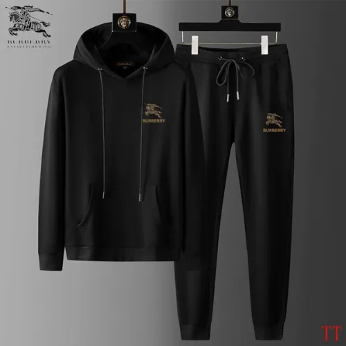 Burberry Tracksuits for Men's long tracksuits #B50594