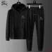 Burberry Tracksuits for Men's long tracksuits #B50594