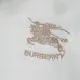 Burberry Tracksuits for Men's long tracksuits #B67113