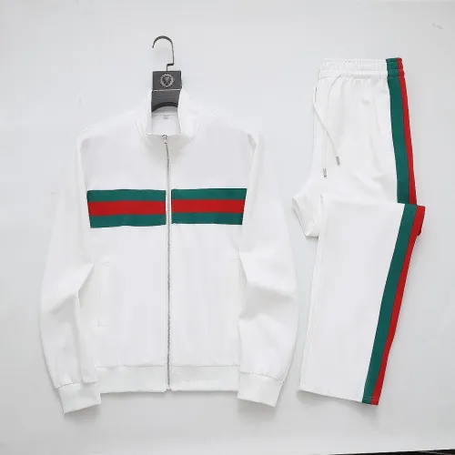 Gucci Tracksuits for Men's long tracksuits #B67119