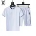 Louis Vuitton tracksuits for Louis Vuitton short tracksuits for men #B51884