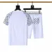 Louis Vuitton tracksuits for Louis Vuitton short tracksuits for men #B51889