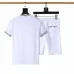 Louis Vuitton tracksuits for Louis Vuitton short tracksuits for men #B51891