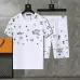 Louis Vuitton tracksuits for Louis Vuitton short tracksuits for men #B51894