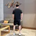 Louis Vuitton tracksuits for Louis Vuitton short tracksuits for men #B52493