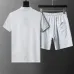 Louis Vuitton tracksuits for Louis Vuitton short tracksuits for men #B61390