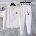 Louis Vuitton tracksuits for Men long tracksuits #B50483
