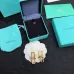 Tiffany Earrings #99914238