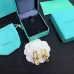 Tiffany Earrings #99914238