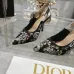 Dior Shoes for Dior High-heeled Shoes for women #B49230
