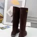 Dior Shoes for Dior boots for women #B58137
