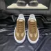 Dior Shoes for Men's Sneakers #B35057