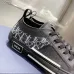 Dior Shoes for men and women Sneakers #999929499