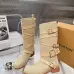 Louis Vuitton Shoes for Women's Louis Vuitton boots #A68852
