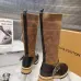 Louis Vuitton Shoes for Women's Louis Vuitton boots #A68858